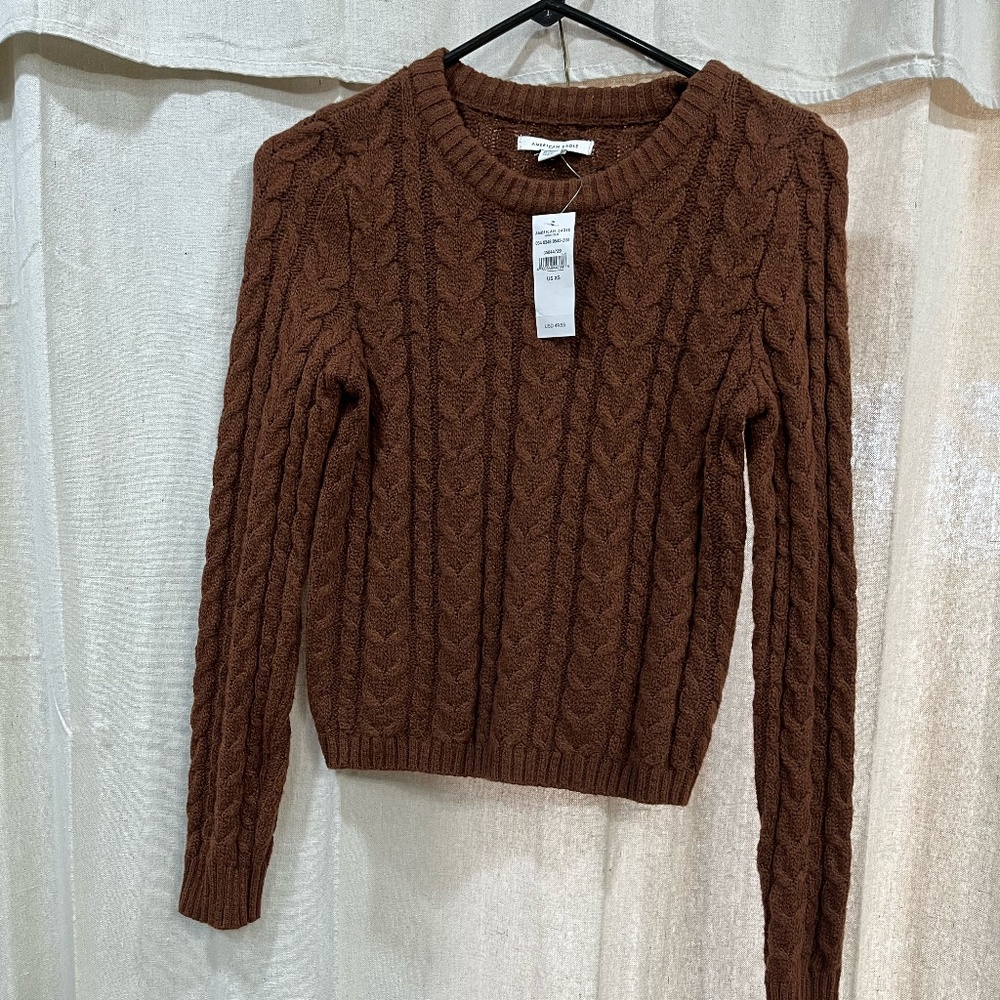 XS Brown American Eagle Sweater